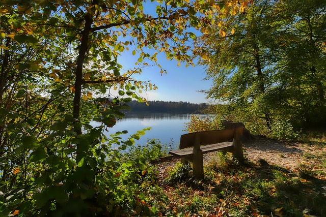 中国运动员 中国运动员