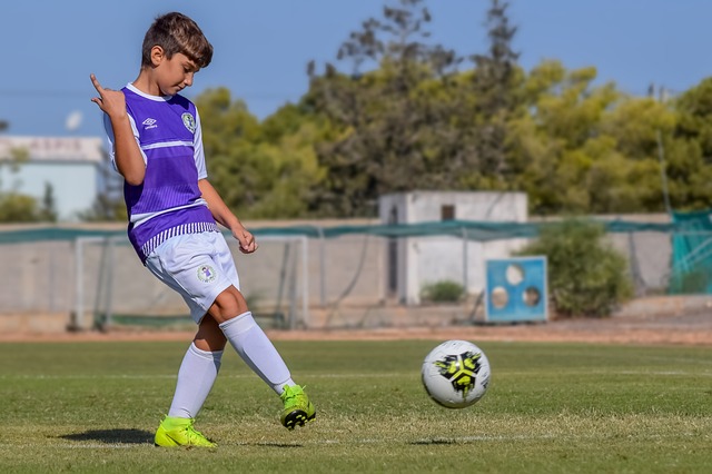 纷纷展示了 纷纷展示了