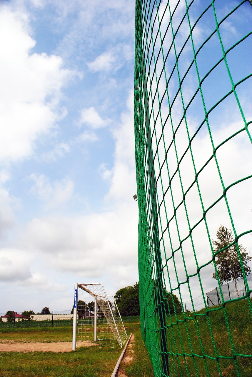 入了信心和 入了信心和