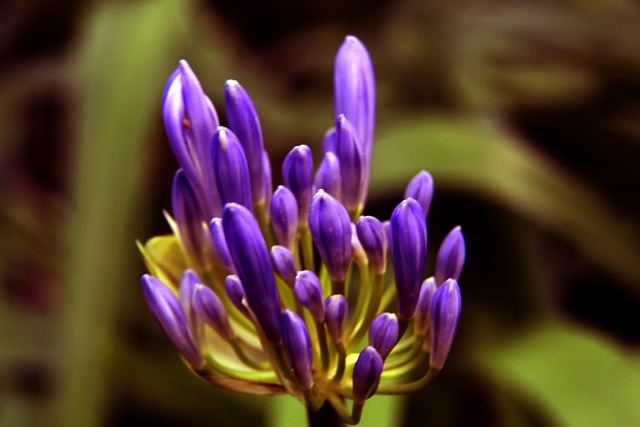 的标志性特 的标志性特