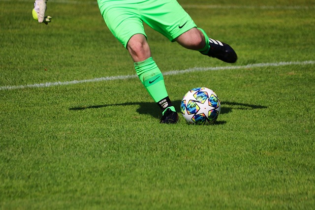 力的体现 力的体现