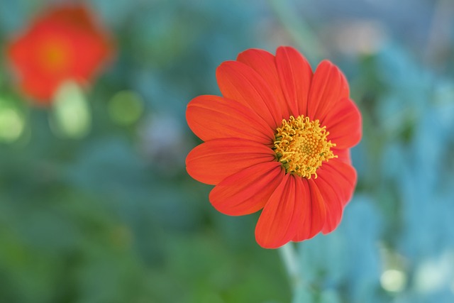 一如既往的 一如既往的