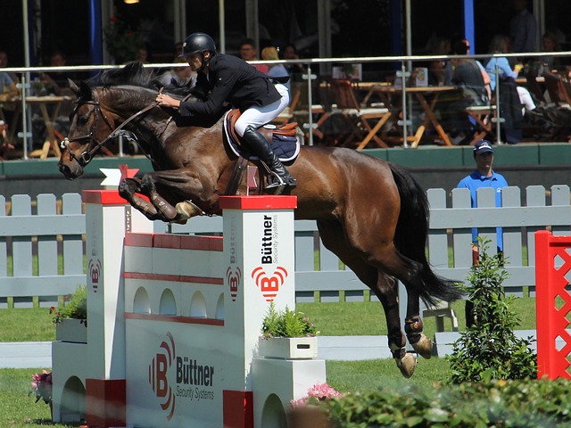 他们的看法 他们的看法